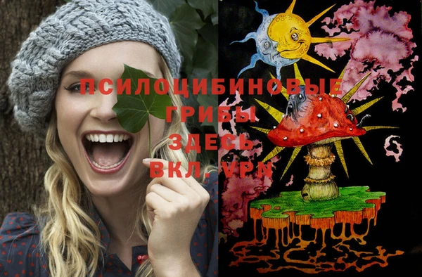 спайс Пестово