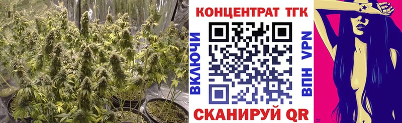 ТГК вейп  продажа наркотиков  Стародуб 